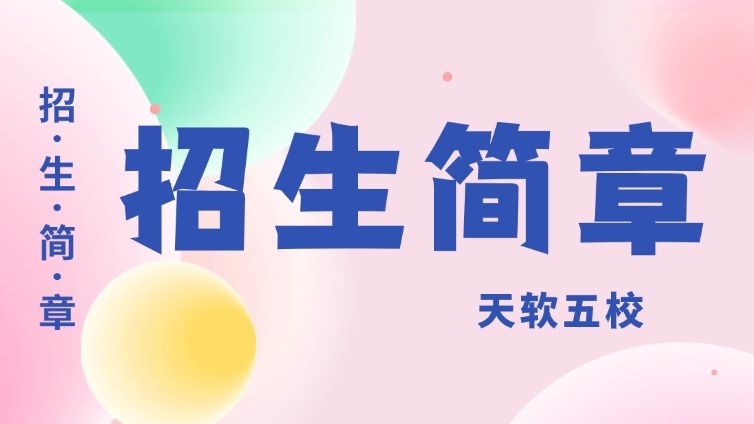 天津市大学软件学院 2025年“高职升本科”联合招生章程